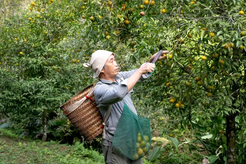 有线与无线物联网技术融合下智能射灯与儿童房吸顶灯的选型要点
